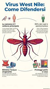Lotta integrata alle zanzare, con particolare attenzione al contenimento della diffusione dalla zanzara West Nile (del genere Culex)